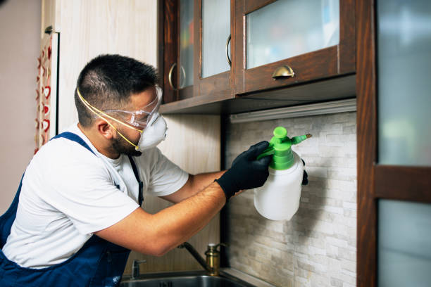 Best Local Pest Control Services  in Beavercreek, OH