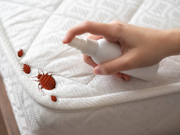 Trusted Beavercreek, OH Pest Control Experts